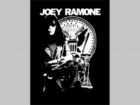 Ramones chrbtová nášivka veľkosť cca. A4 (po krajoch neobšívaná)